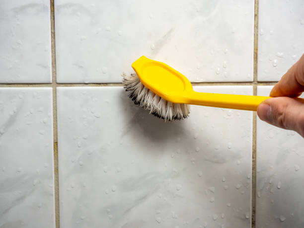 Best Mold Remediation for Schools in Cinco Ranch, TX